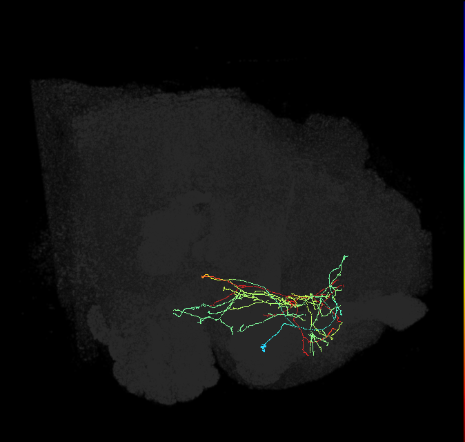 ADL06a_b_pct(aSP14b)_R