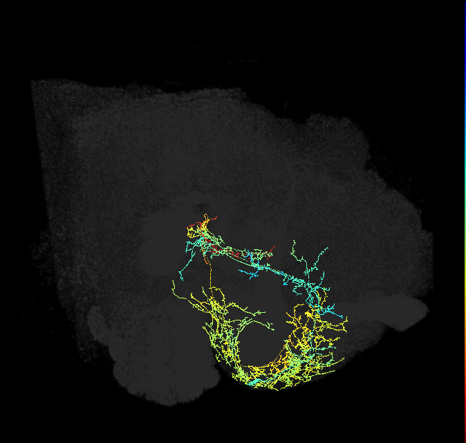 ADM06c_pct(aSP14e)_R