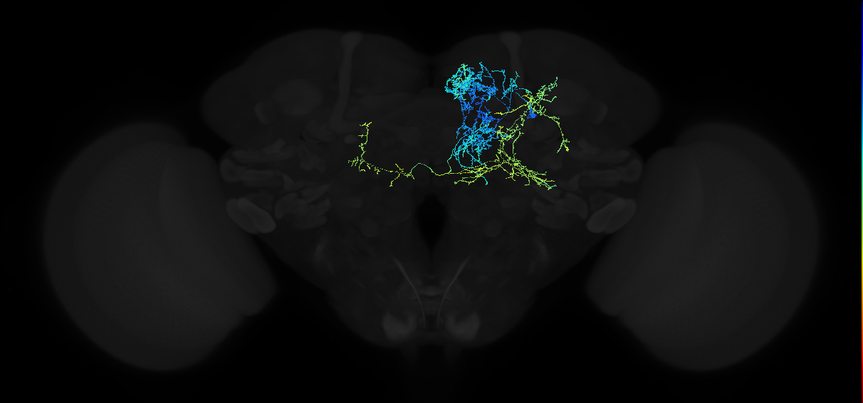 ADM06c_pct(aSP14e)_R