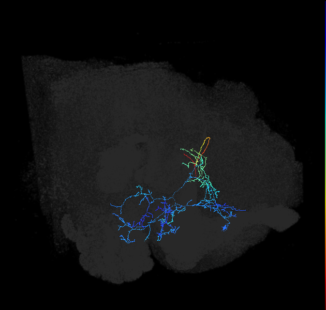 ADL12ok_pct_R