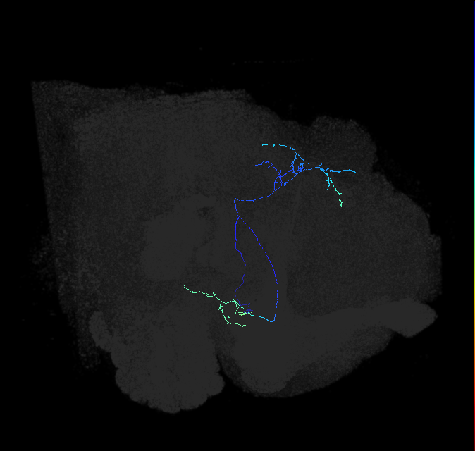 AVL04d_pct_R