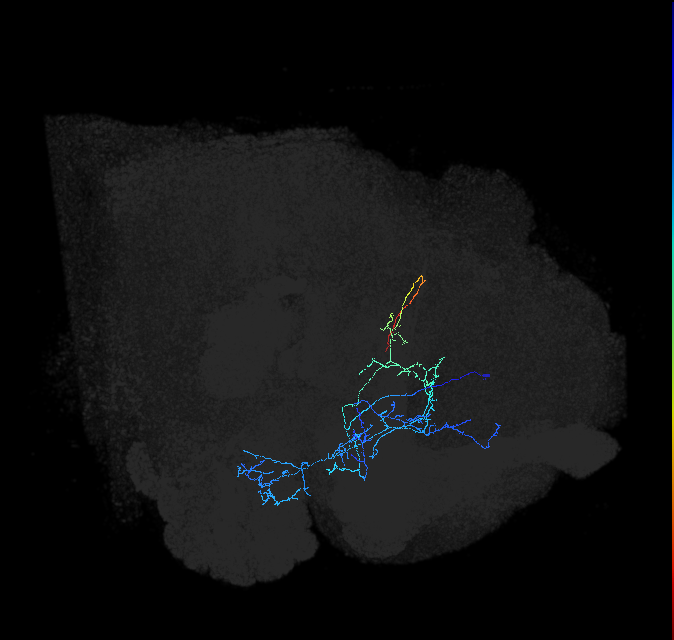 ADL21oa_pct_R