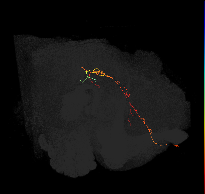 ADM01oz_pct(ADM01)_L