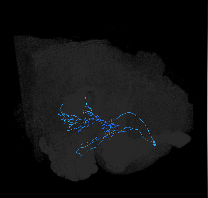ADL14j_pct_R
