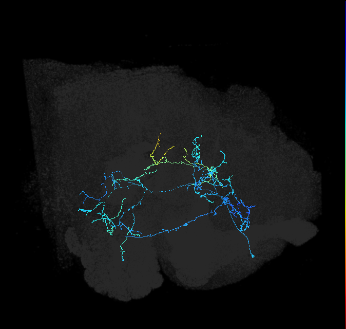 ADL12od_pct_R