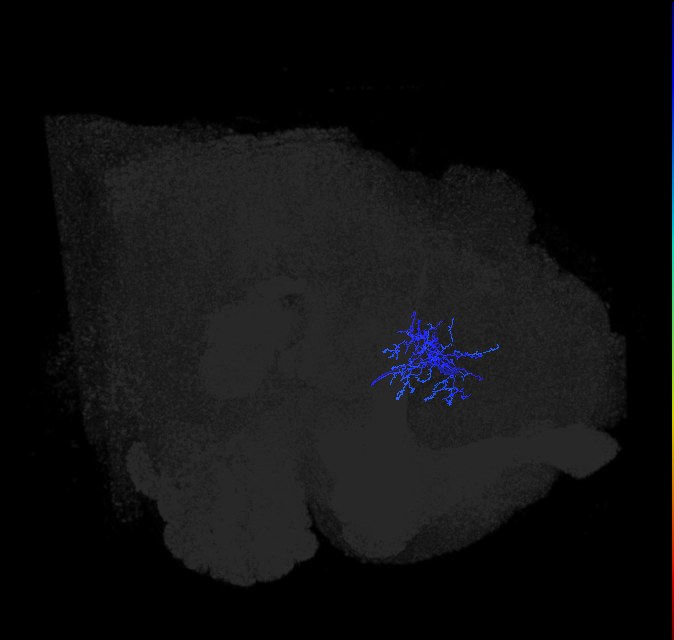 ADL01d_pct_R
