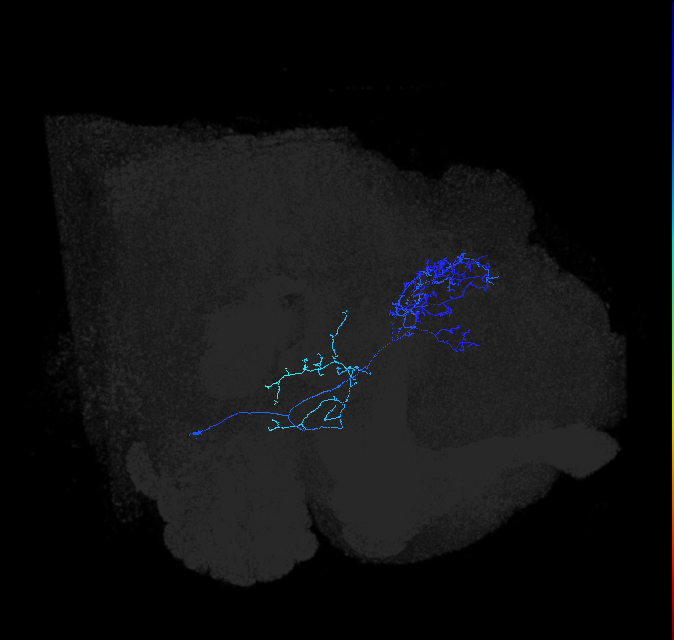 AVL02q_b_pct_R