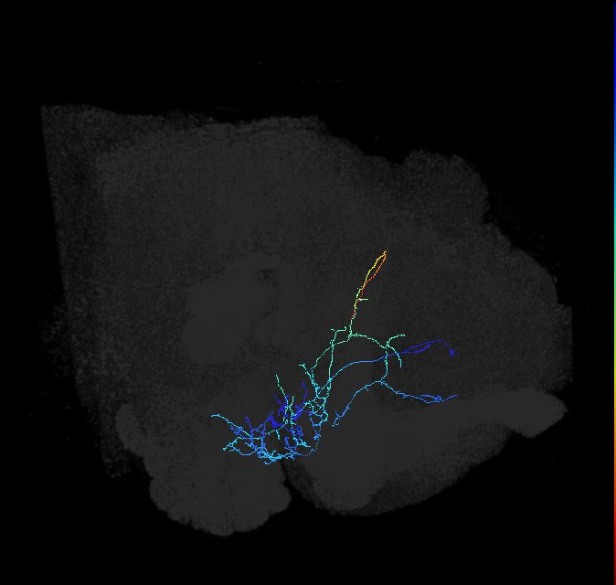 ADL21n_pct_R