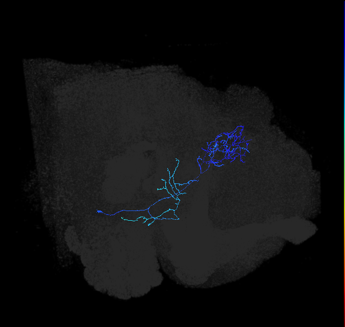 AVL02q_b_pct_R