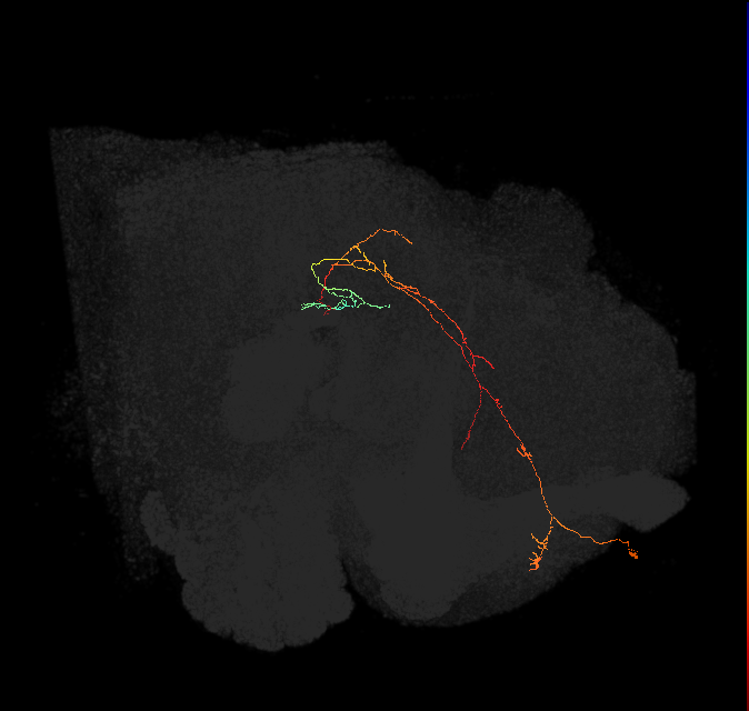 ADM01oz_pct(ADM01)_L