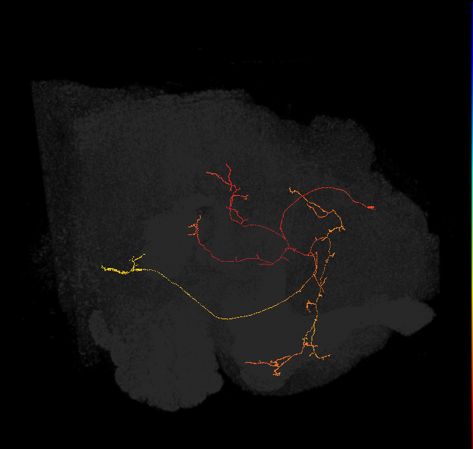 (PDM12)_L