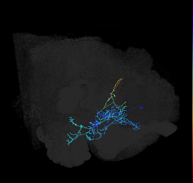 ADL21d_pct_R