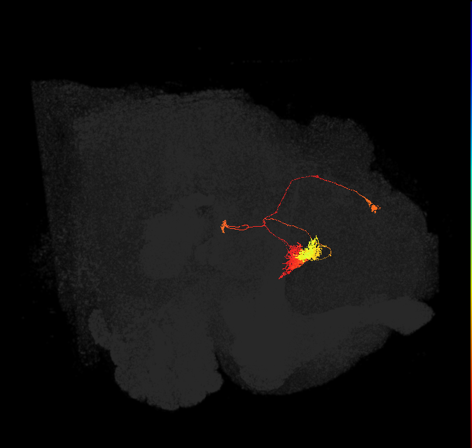 Delta6D_13