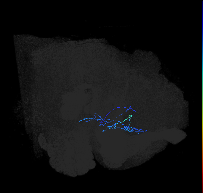 ADL22c_b_pct_R