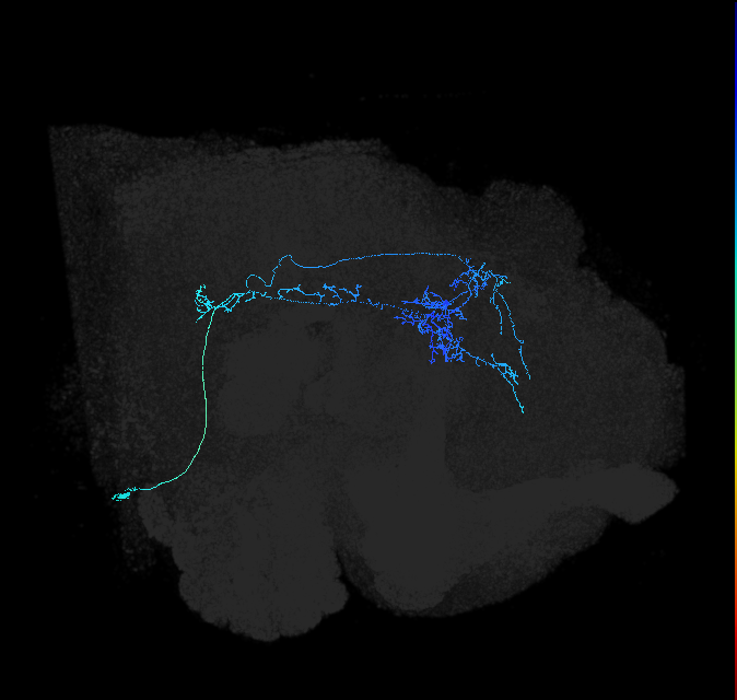 AVL01lc_pct_R