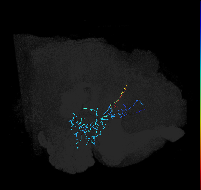 ADL21e_pct_R