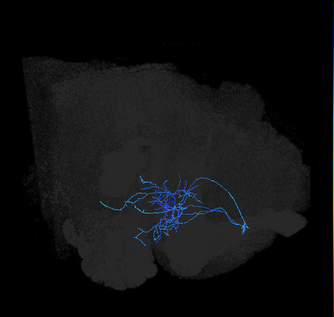 ADL14j_pct_R