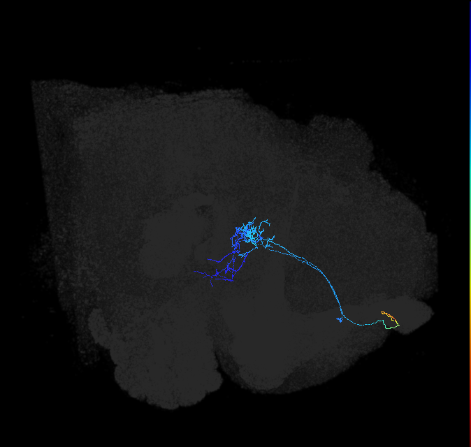 ADL14m_a_pct_R