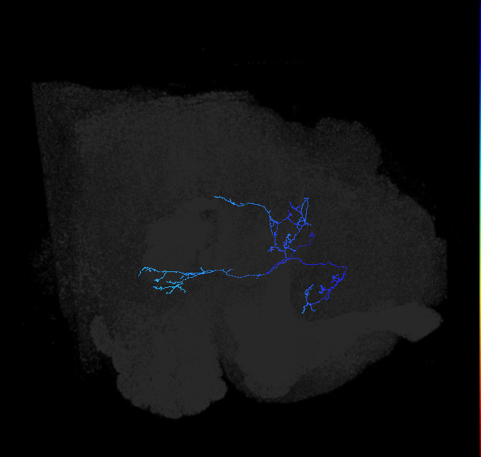 ADL01i_pct_R