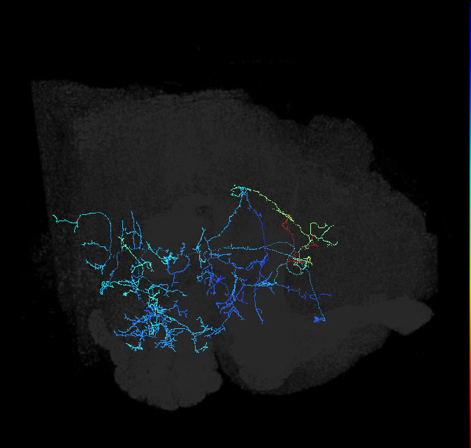 ADL12d_pct_R