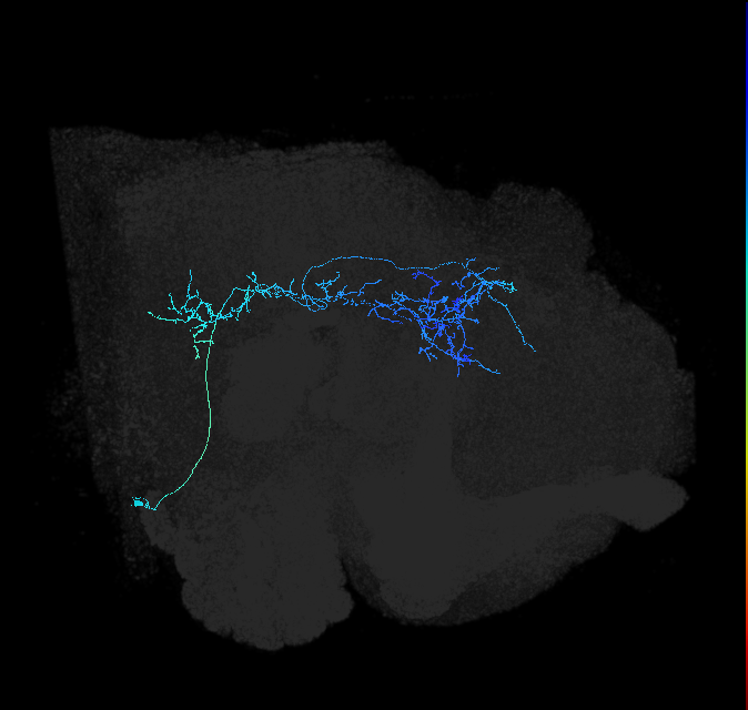 AVL01lc_pct_R