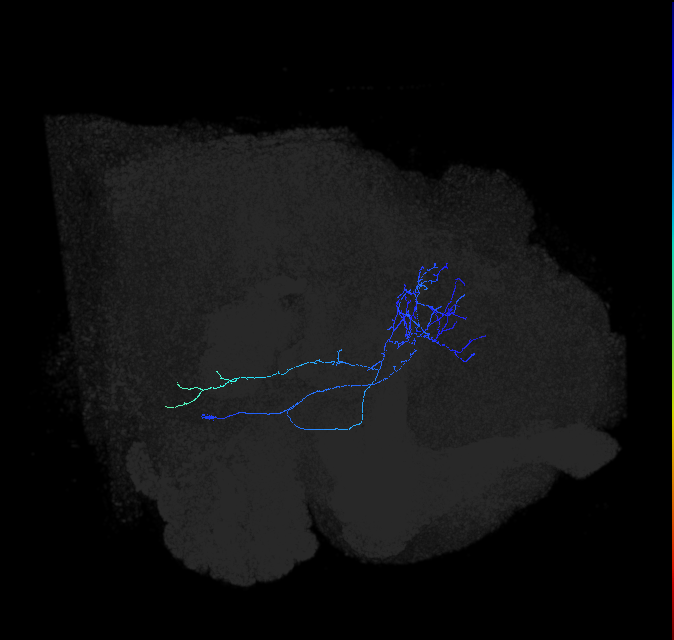 AVL02or_pct_R