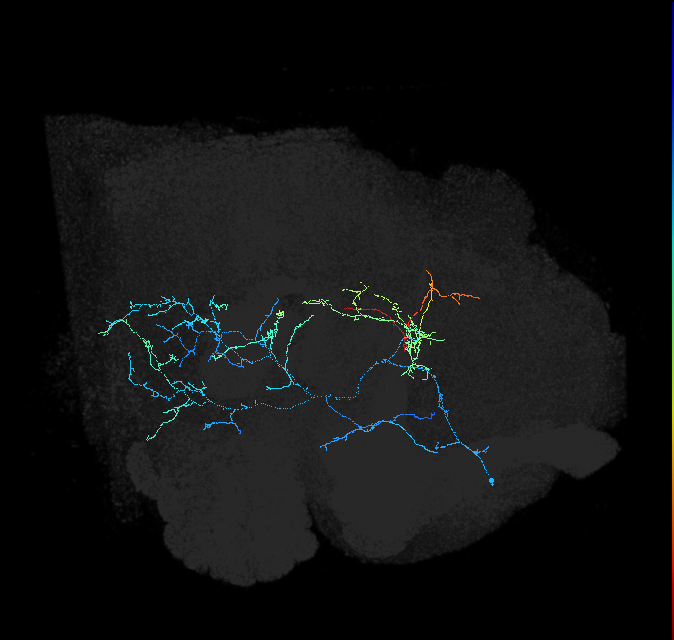 ADL12m_pct_R