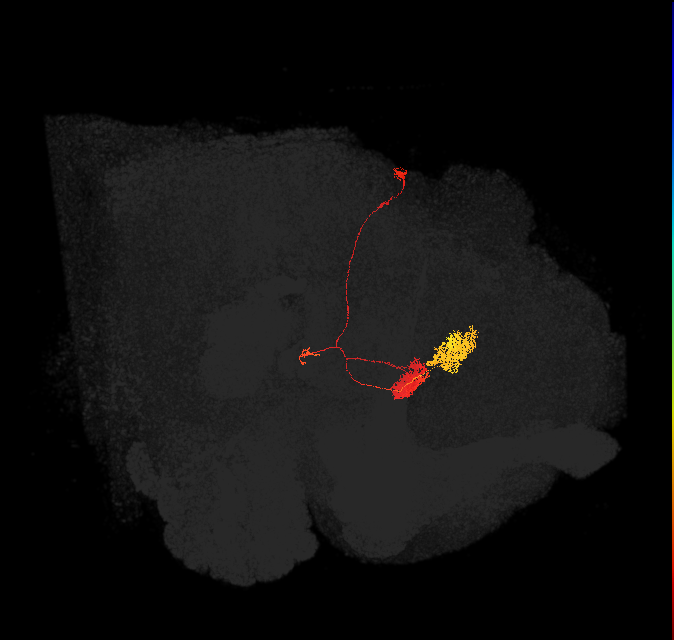 Delta6D_14