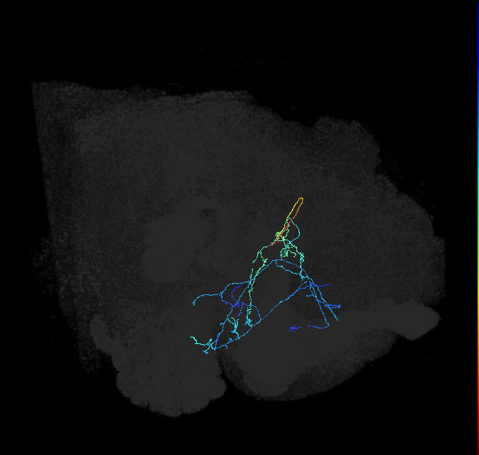 ADL12k_pct_R