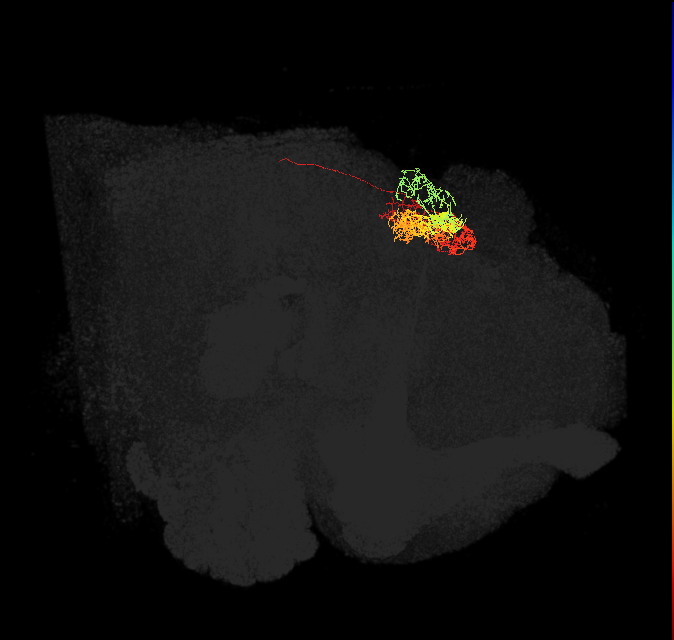 Delta7(PB15)_L5R4_L