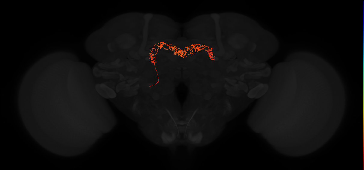 Delta7(PB15)_L5R4_L