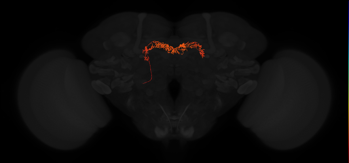 Delta7(PB15)_L6R3_L
