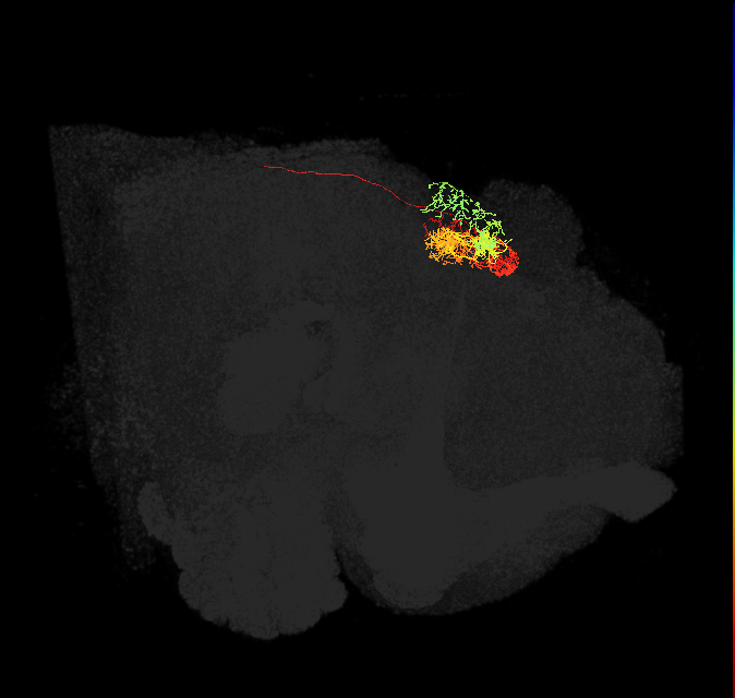 Delta7(PB15)_L5R4_L