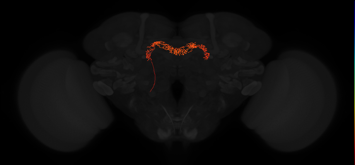 Delta7(PB15)_L5R4_L