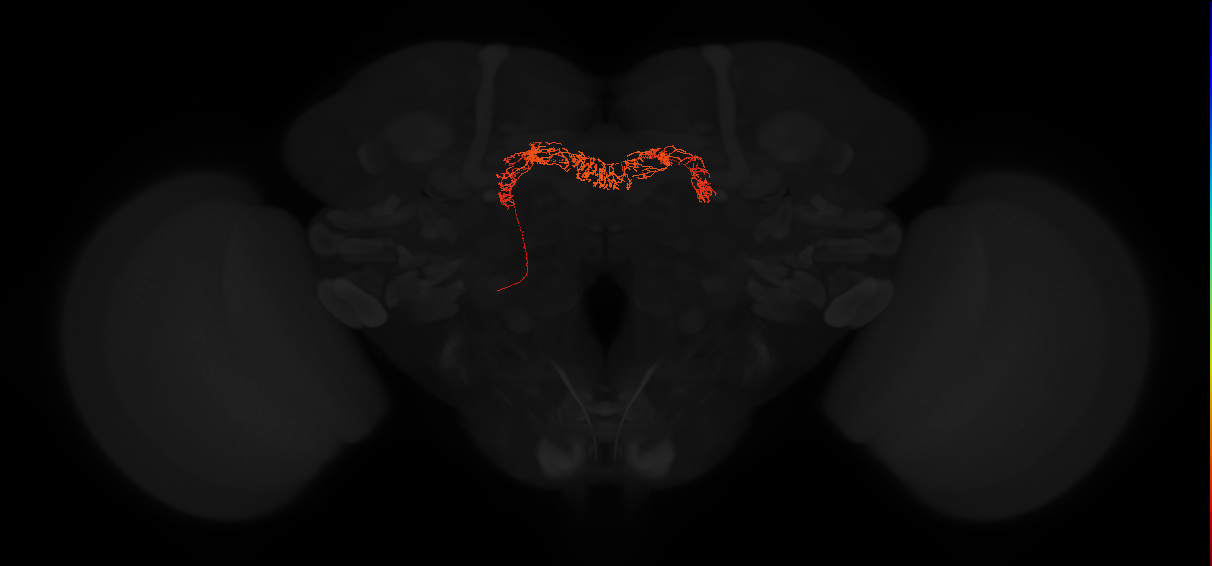 Delta7(PB15)_L5R4_L