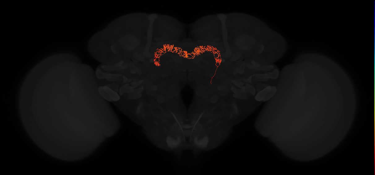 Delta7(PB15)_L1L9R8_R