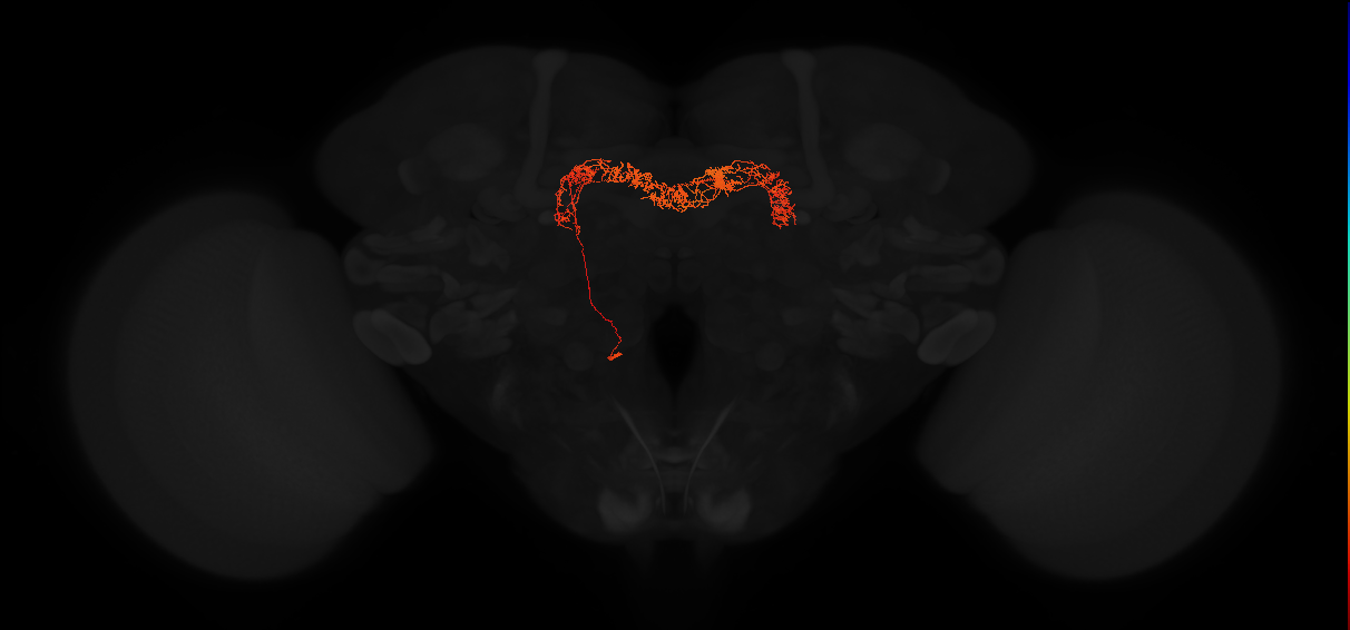 Delta7(PB15)_L6R4_L