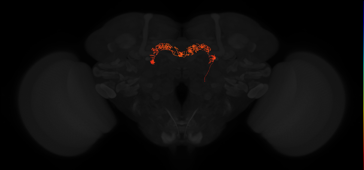 Delta7(PB15)_L1L9R8_R