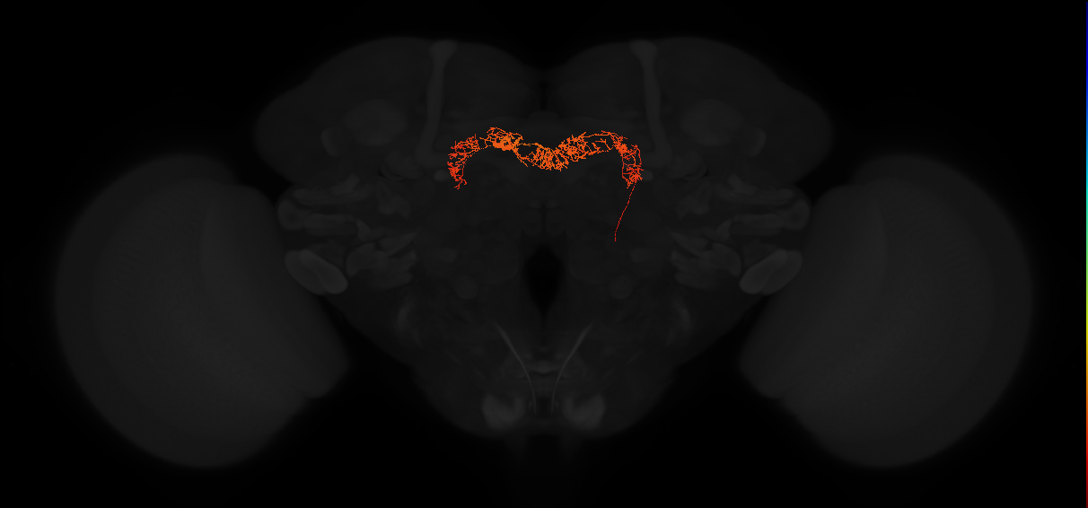 Delta7(PB15)_L3R6_R
