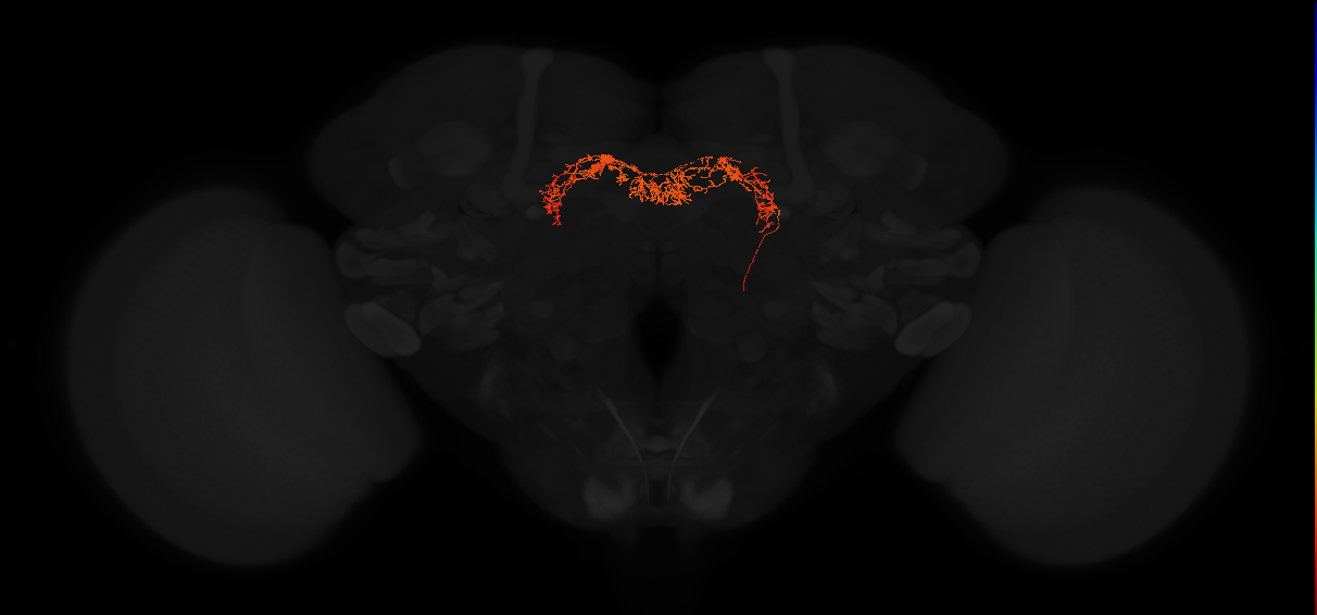 Delta7(PB15)_L4R5_R