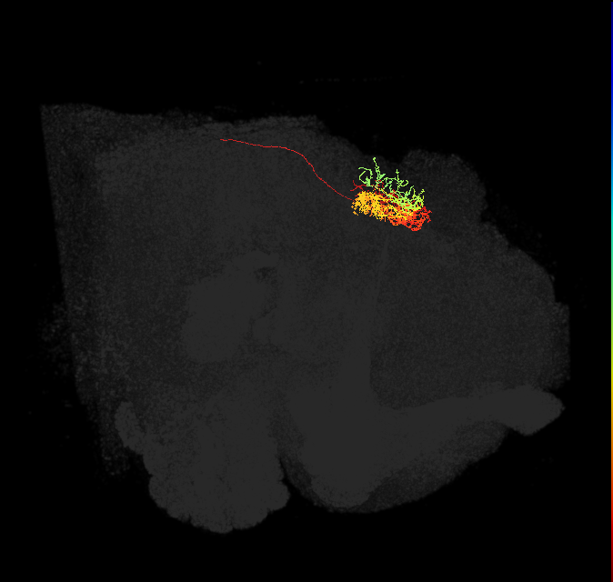Delta7(PB15)_L7R2_L