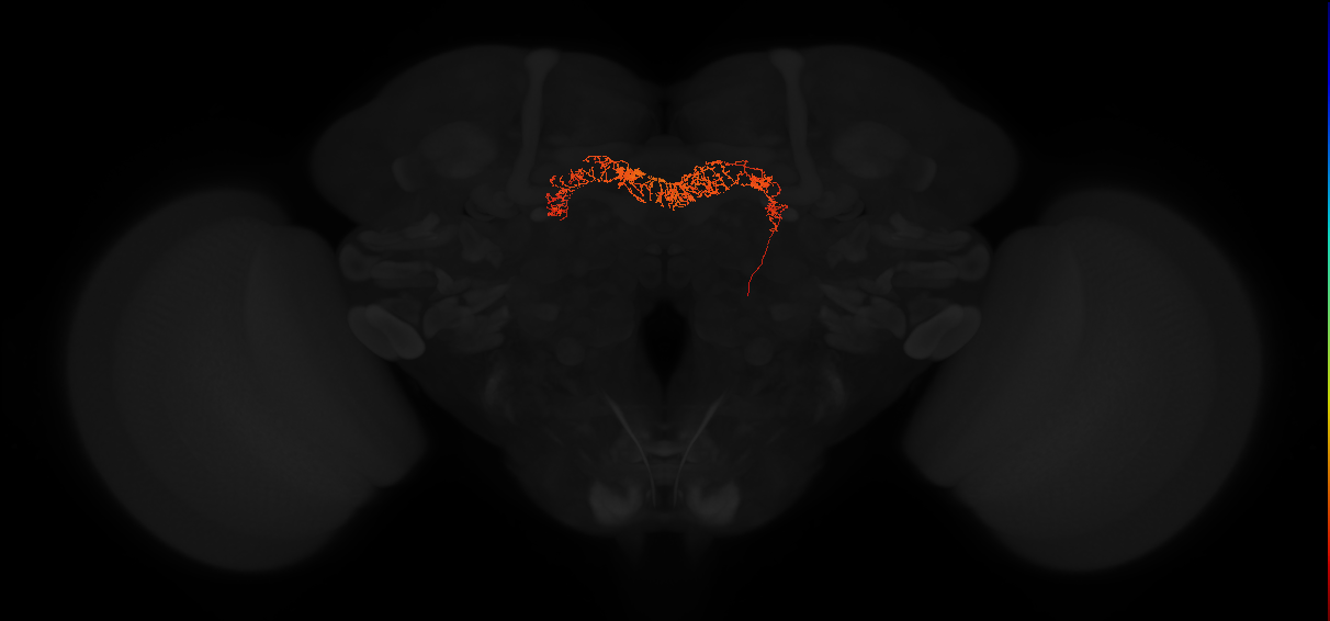 Delta7(PB15)_L3R6_R