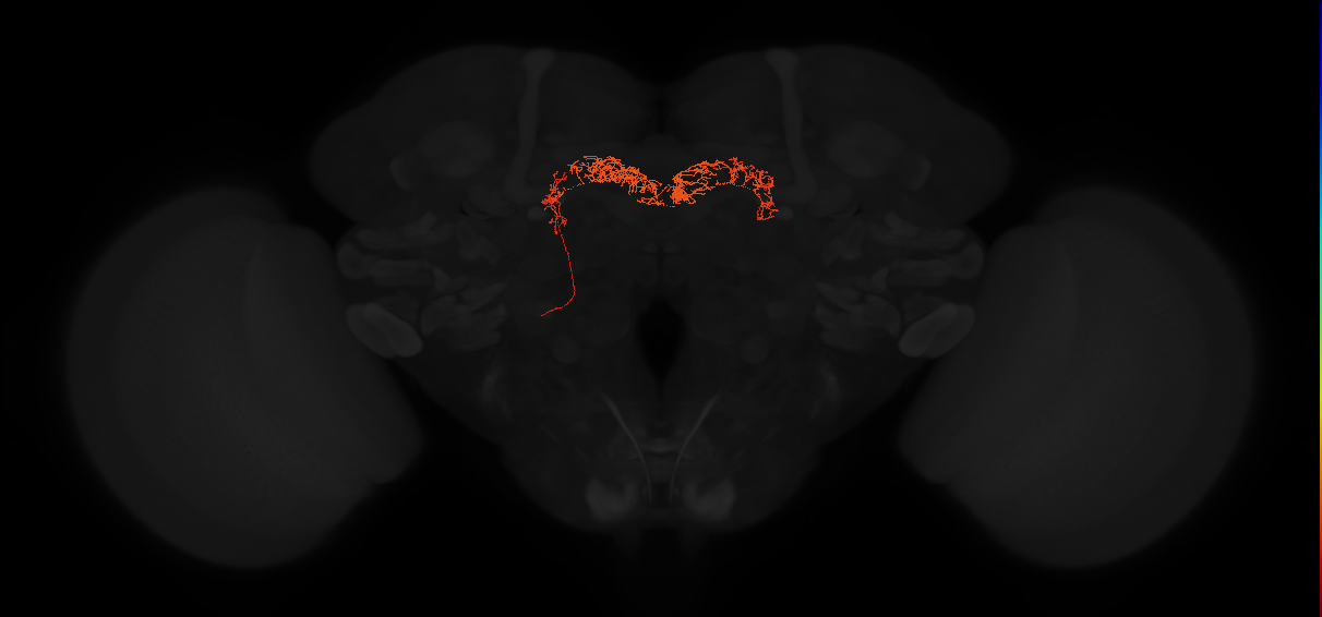Delta7(PB15)_L7R2_L