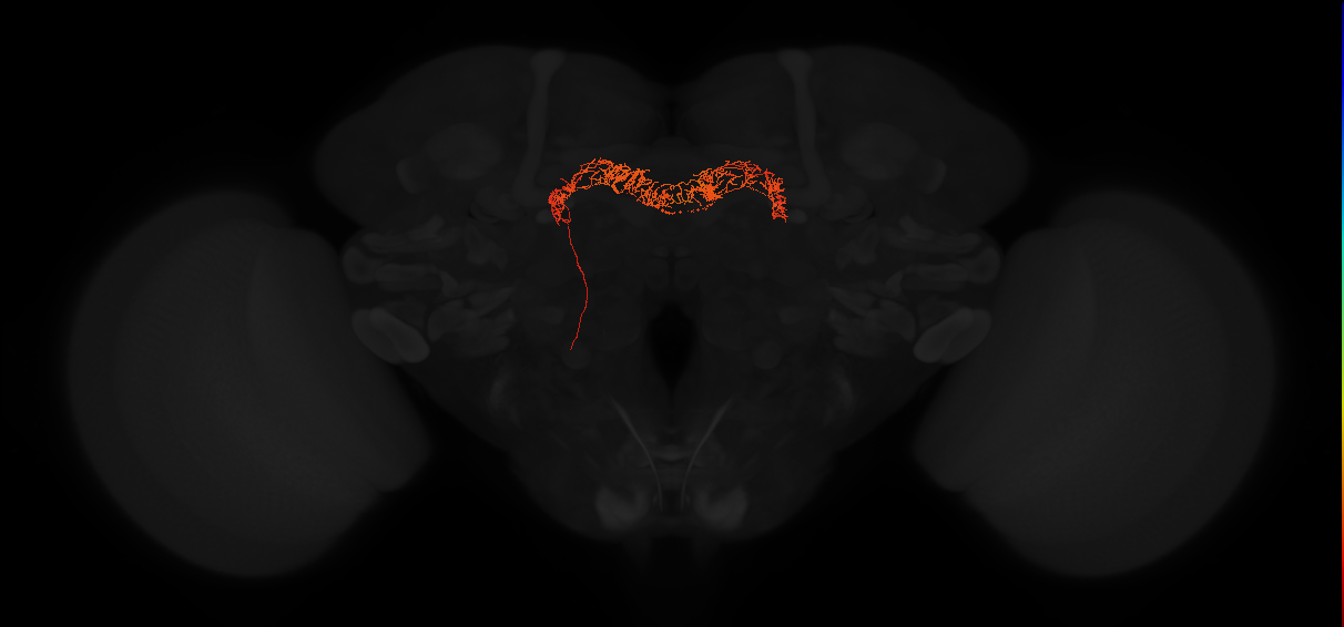 Delta7(PB15)_L7R3_L