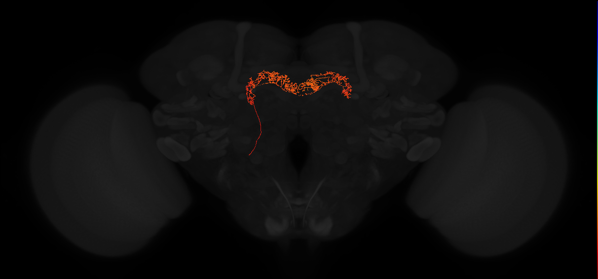 Delta7(PB15)_L6R3_L
