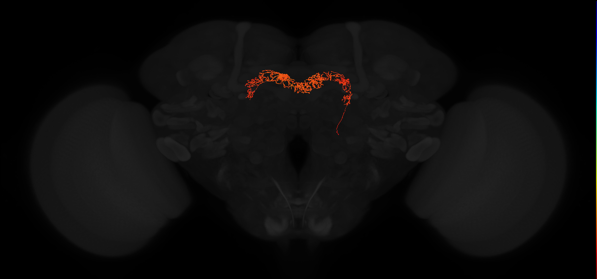 Delta7(PB15)_L3R6_R