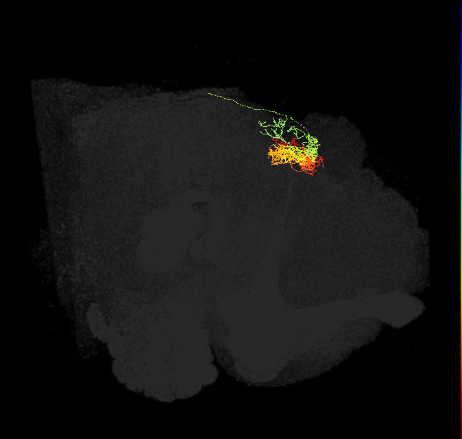 Delta7(PB15)_L4R6_R
