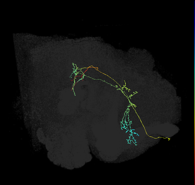 ADM01y_pct(aSP1b)_R