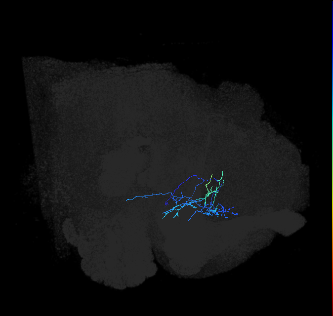 ADL22c_b_pct_R