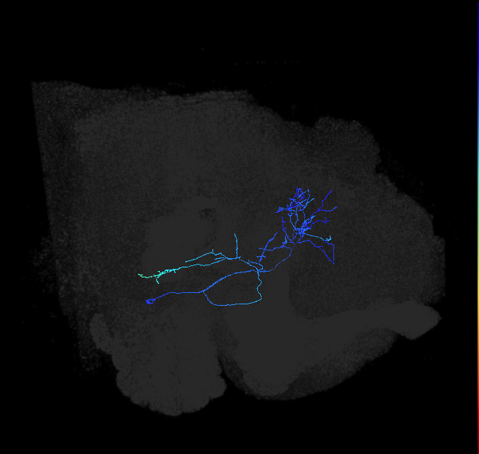 AVL02or_pct_R